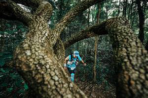 BIB: 
                            <button type="button" onclick="openModal(25393076)" class="btn btn-primary btn-sm float-right btn-popup" data-toggle="modal" data-target=".modal-high-quality">
                        <i class="fas fa-shopping-cart"></i> Add to Cart
                    </button>
                                            <button type="button" onclick="isThisMe(25393076, true)" class="btn btn-success btn-sm float-right btn-popup btn-isme hidden" data-toggle="tooltip" data-placement="bottom" title="นี่คือรูปของคุณใช่ไหม คลิกที่นี่เพื่อเอาเข้าอัลบั้ม">
                        <i class="fas fa-plus"></i> Add to album
                    </button>
                    <button type="button" onclick="isThisMe(25393076, false)" class="btn btn-warning btn-sm float-right btn-popup btn-isnotme hidden">
                        <i class="fas fa-ban"></i> Remove from album
                    </button>